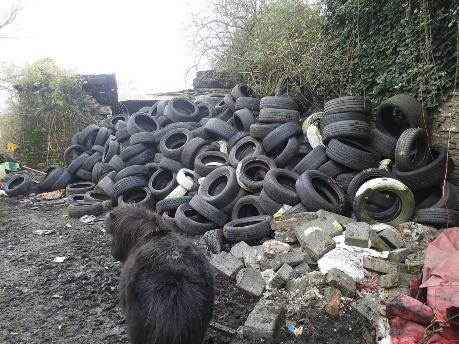 pile of dumped tyres