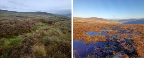 Photos showing peatland restoration above Foel farm, cwm Penmachno, Conwy. The left image shows the peatland before restoration. The image on the right shows the peatland restored. Photo credit Iago Thomas, National Trust Uwch Conwy peatland officer