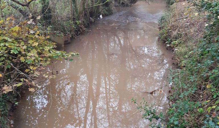 Silty Edrych Nant Dowlais