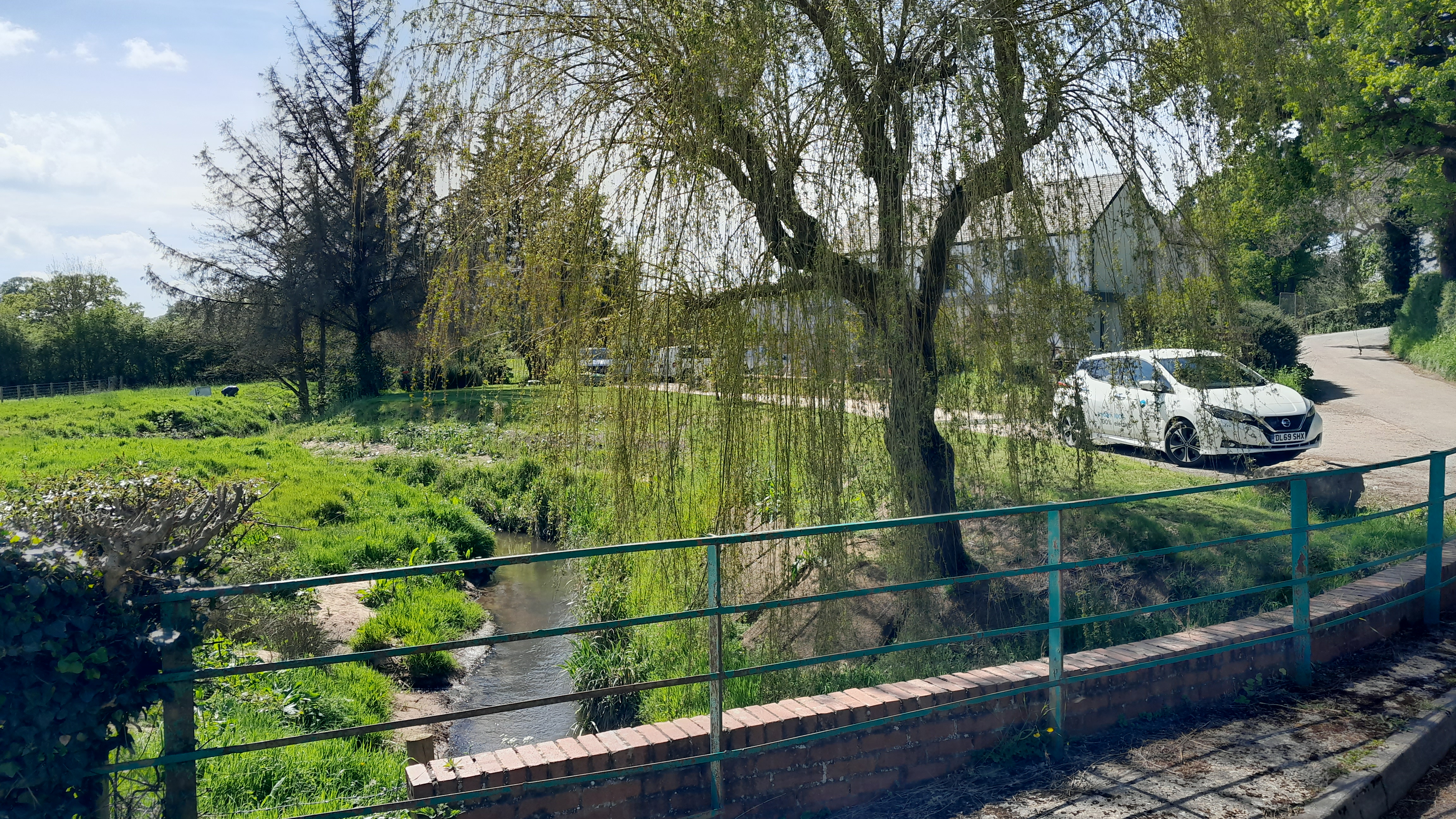 Natural looking riverbank after unpermitted gabions removed 
