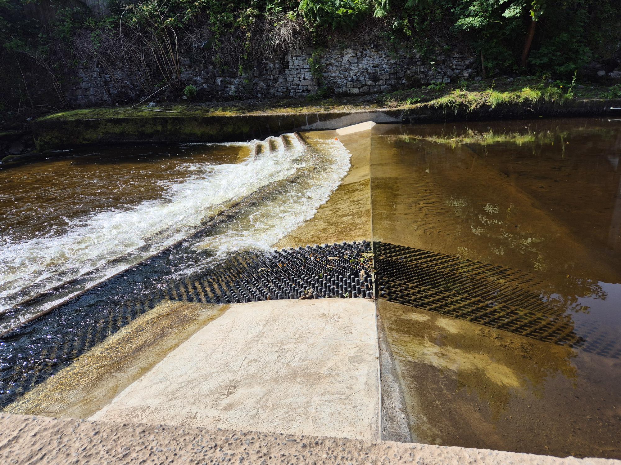 Weir across the River Taff 