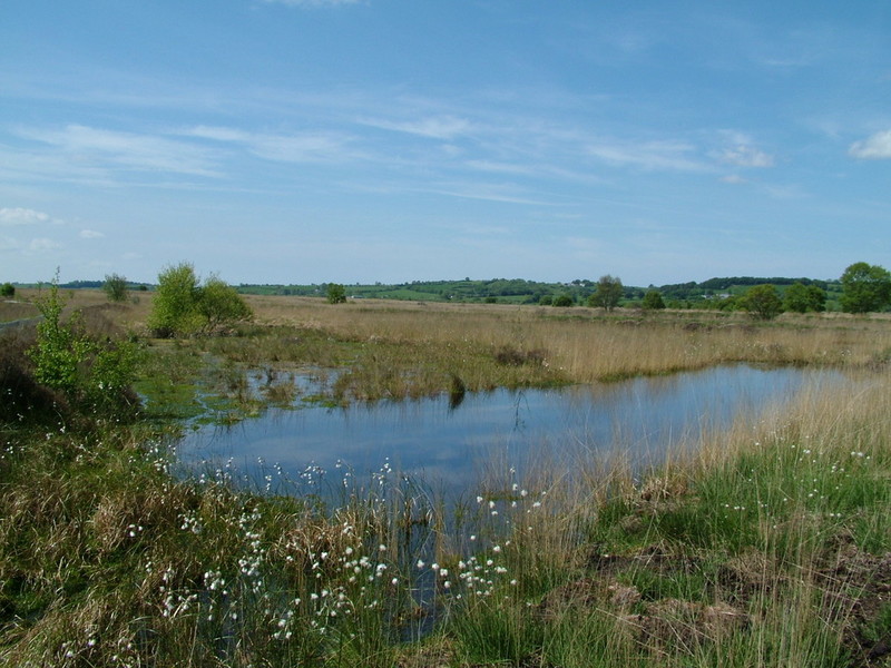 Cors Caron raised bog filled with water