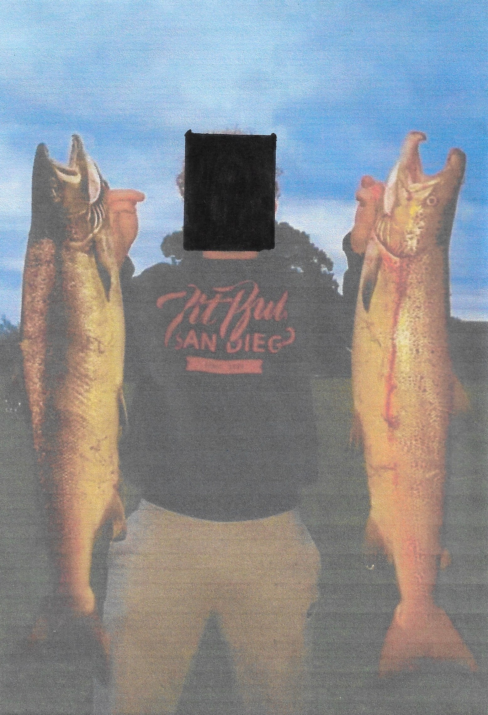 Brecon Salmon