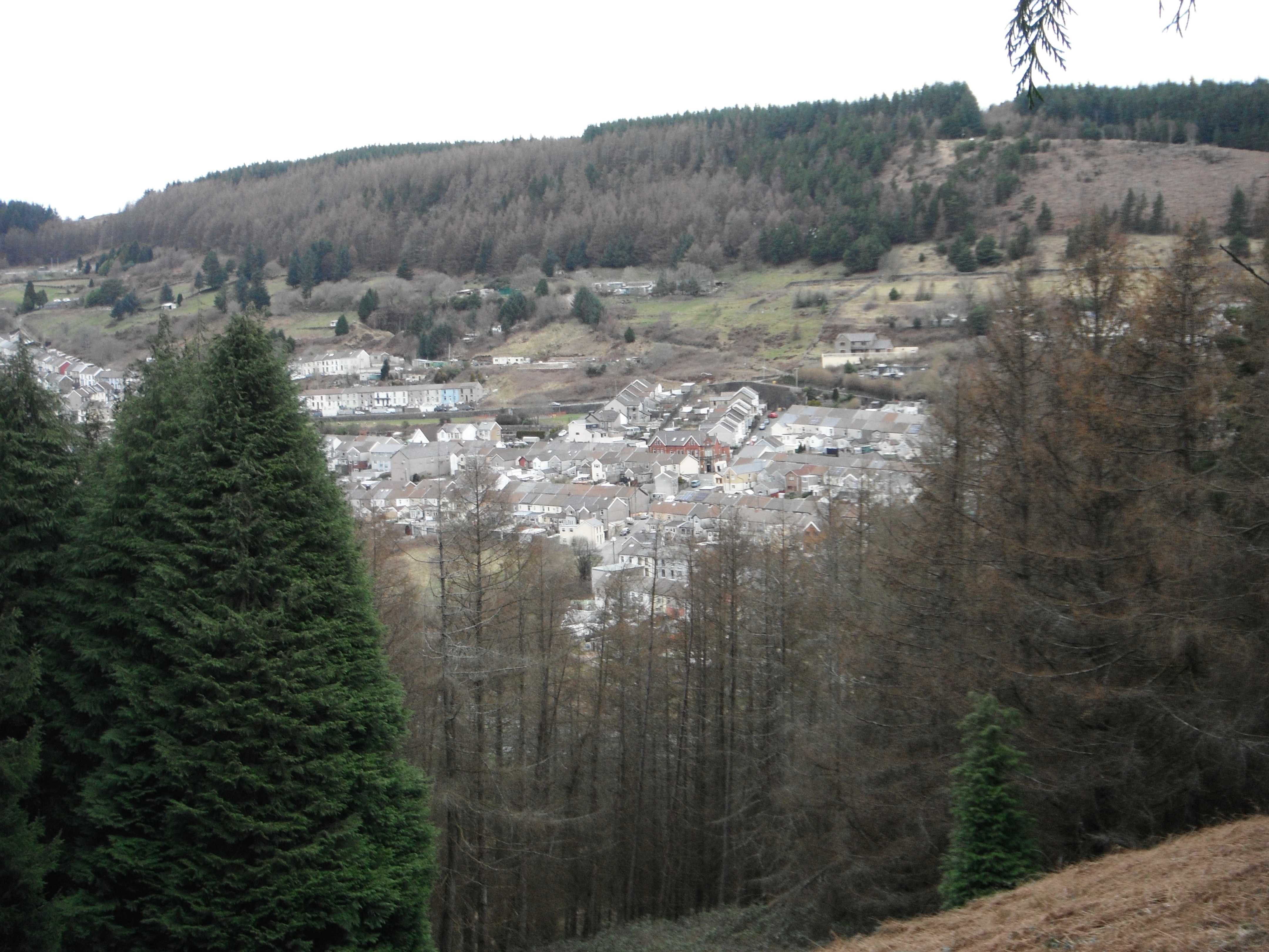 Mynydd Ton overlooking Clydach Vale