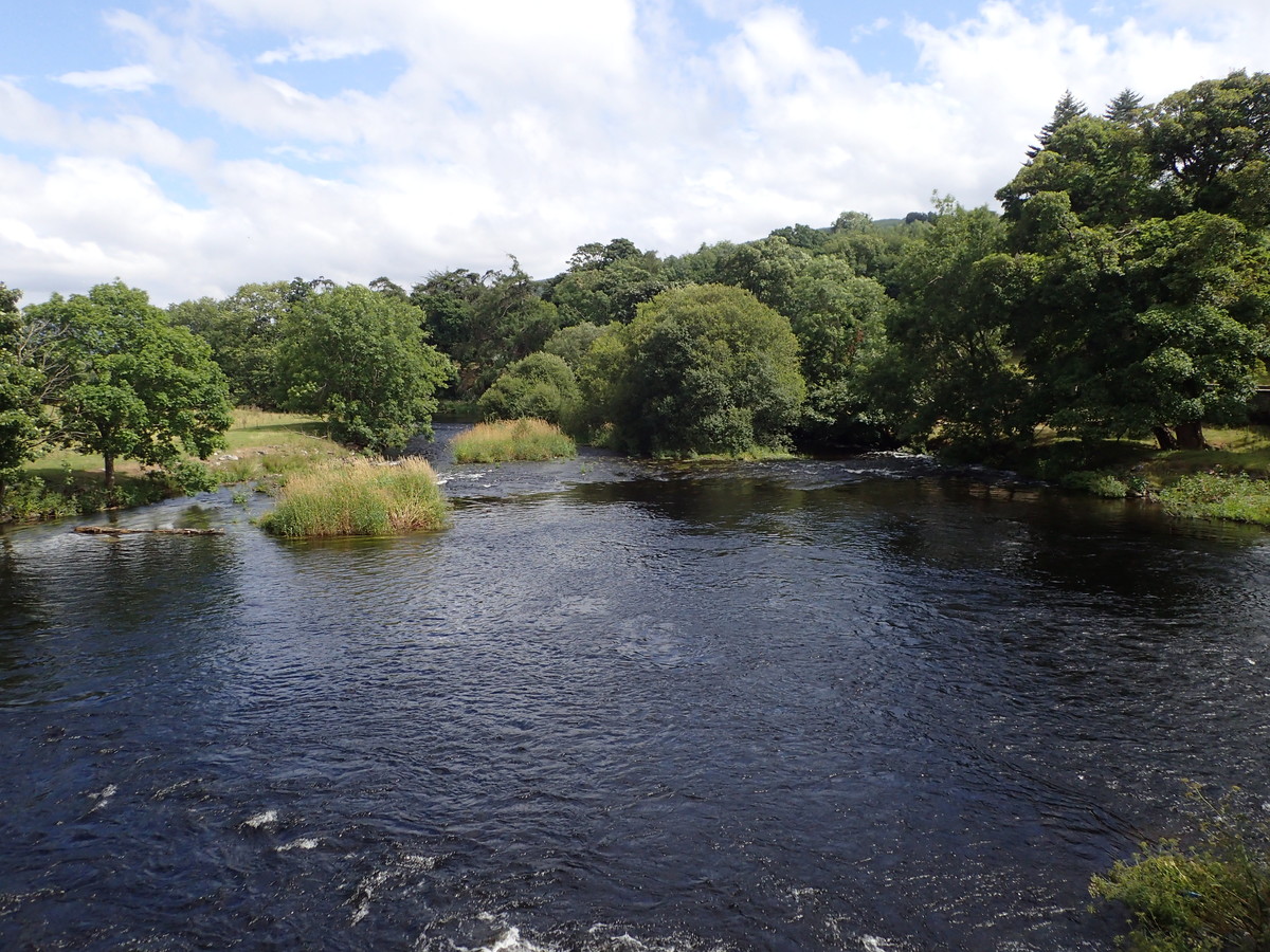 Golygfa o'r Afon Dyfrdwy gyda choed yn y cefndir.
