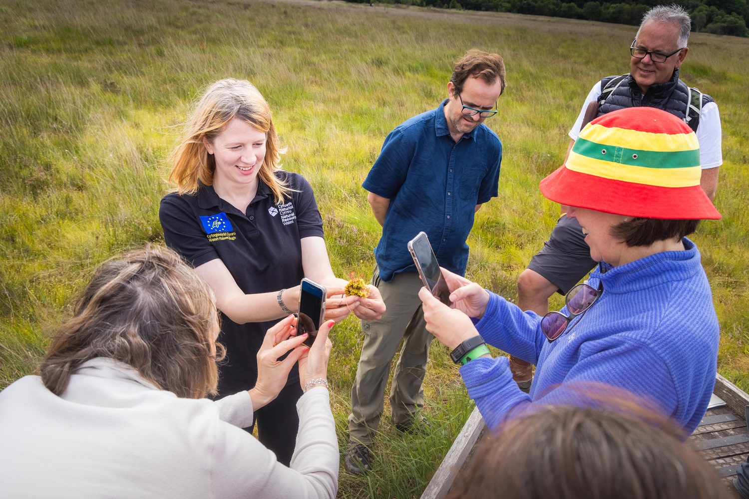 Guided walk on Cors Caron during the Eisteddfod