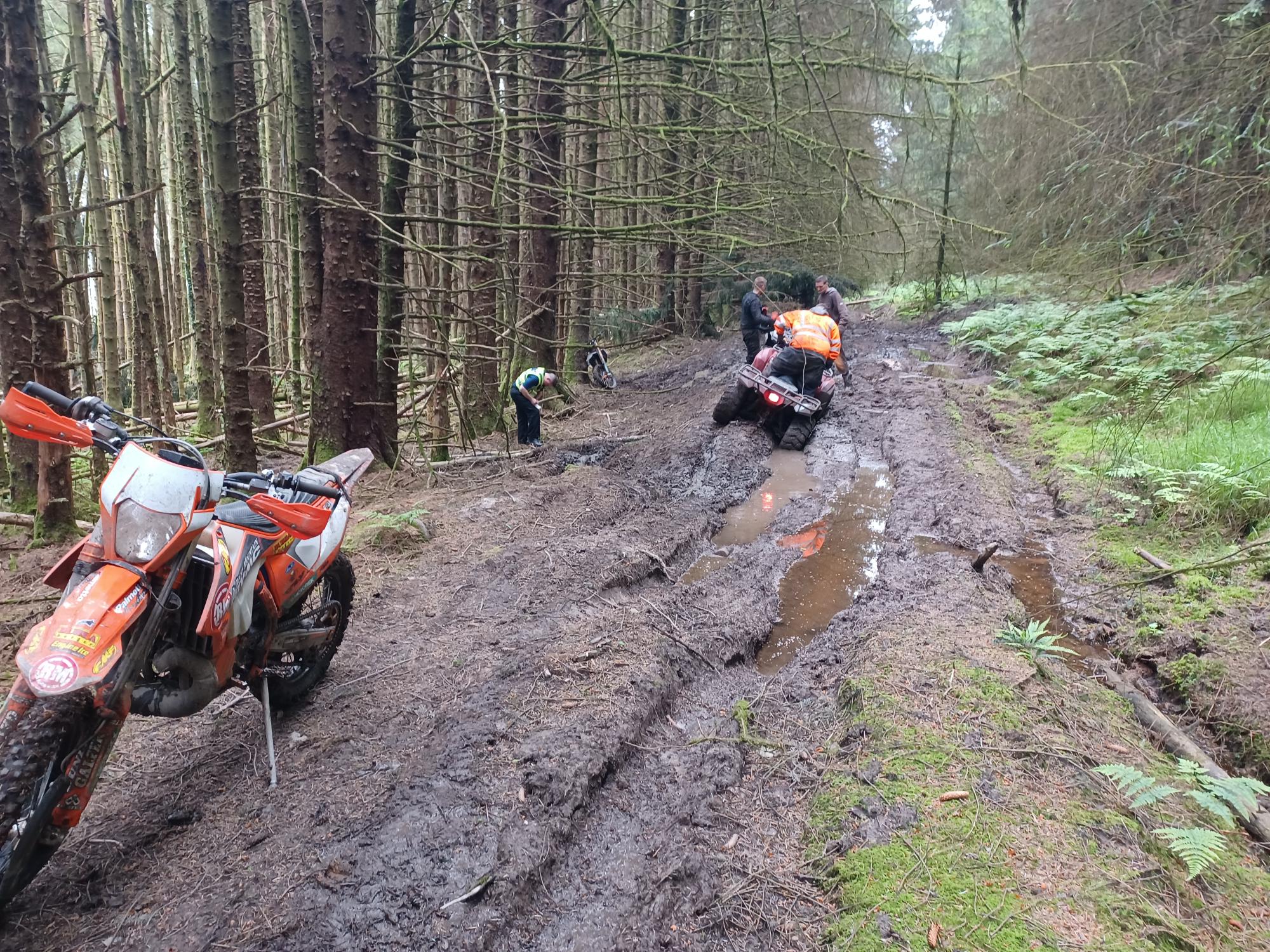 Off road bike in a forest 