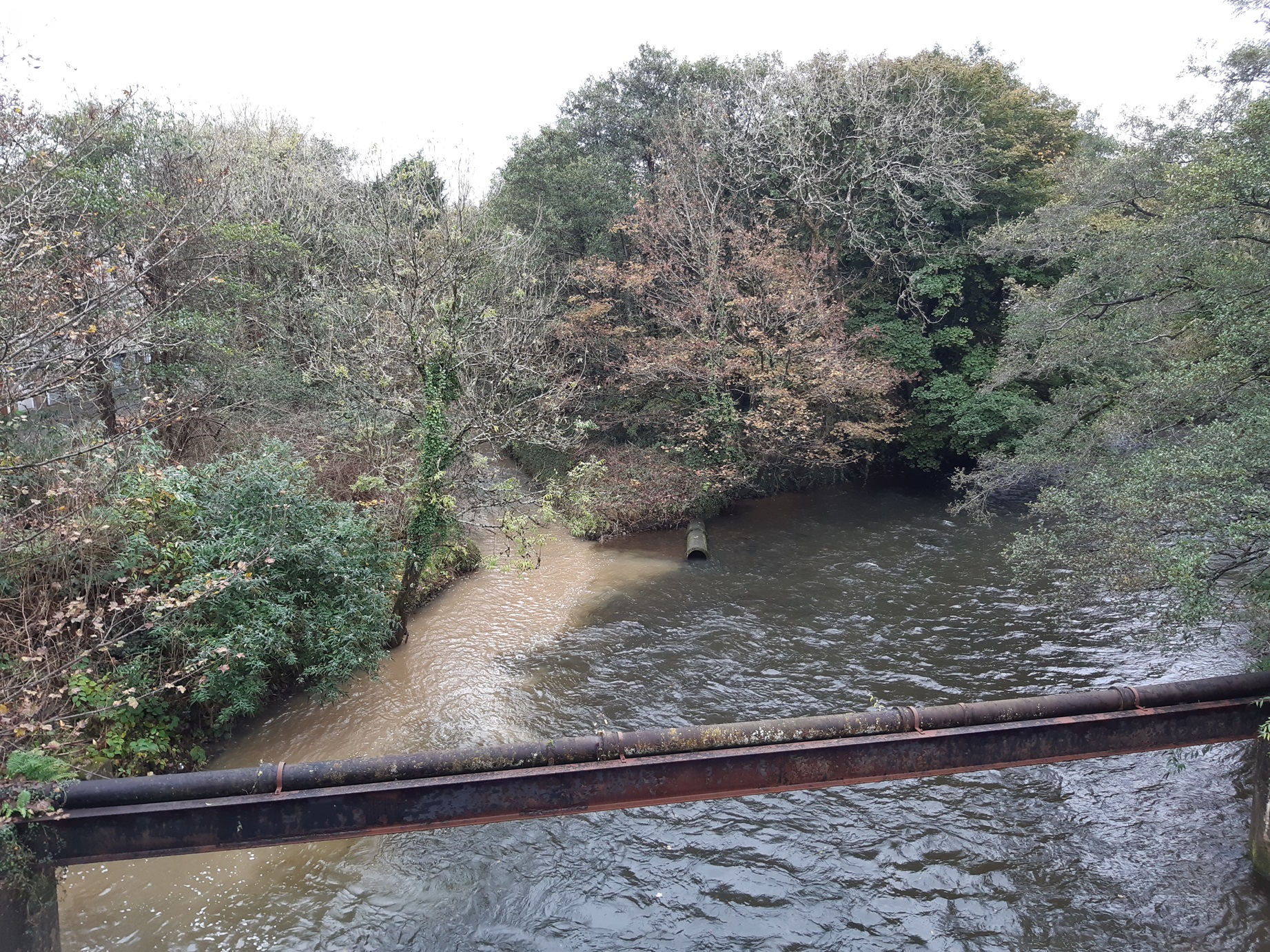 Llygredd gwaddod o'r Afon Ogwr