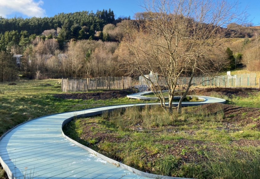Urban wetland at Pentref Tyleri 