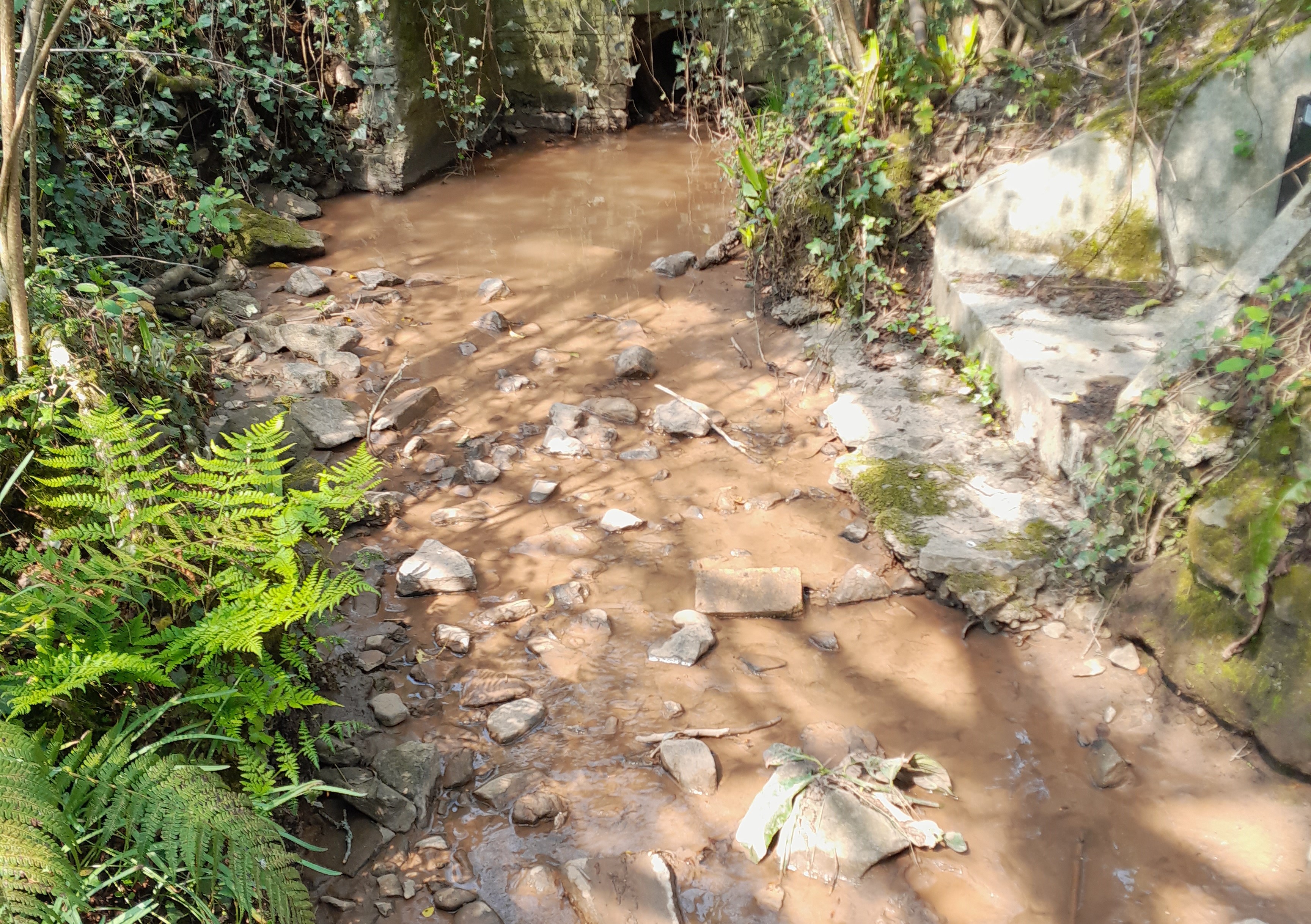 A stream polluted by silt and mud