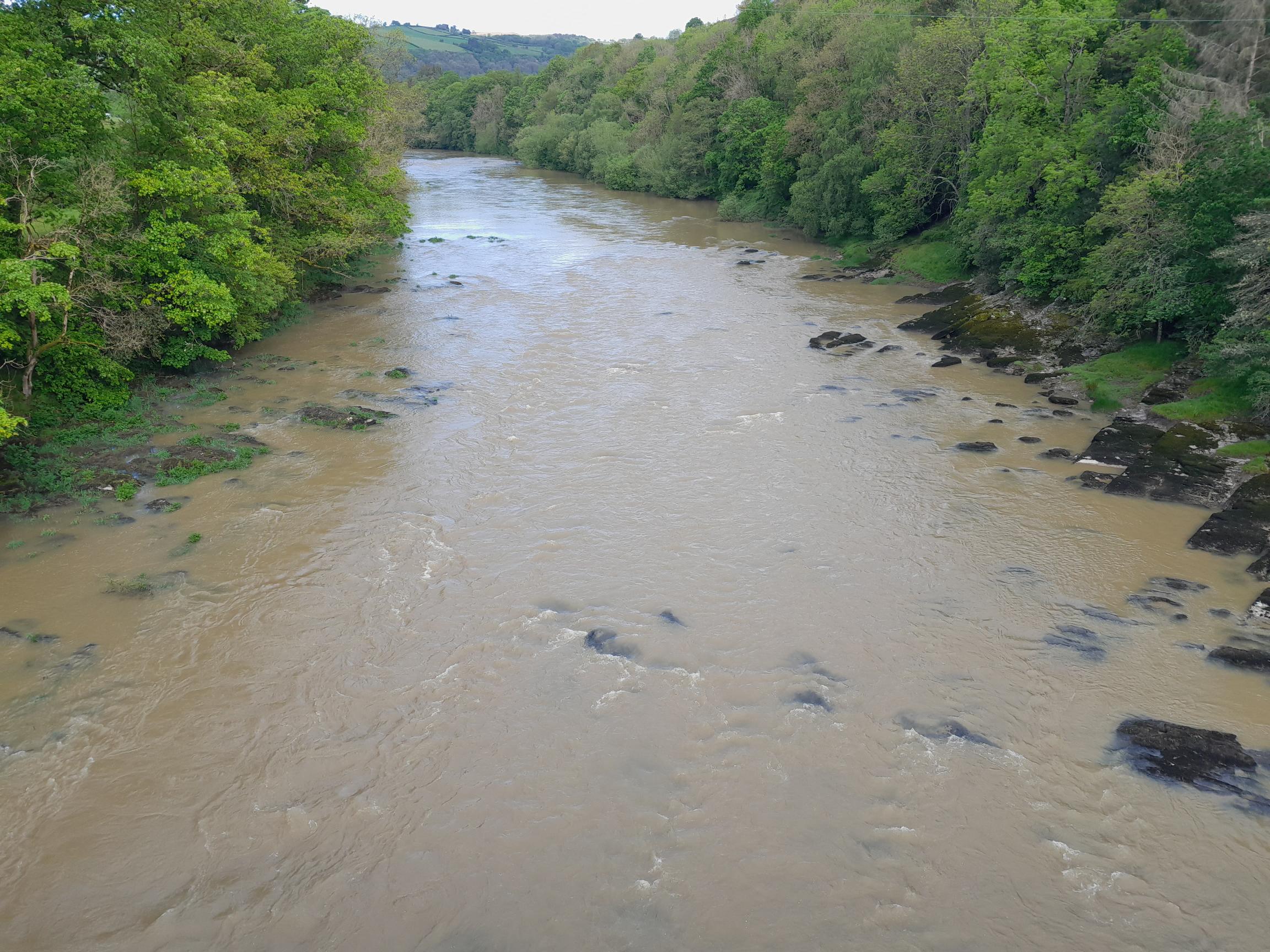 River Wye with murky brown water