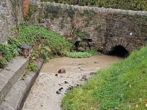 A stream polluted with silt