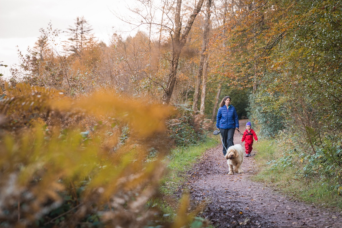 Autumn walk