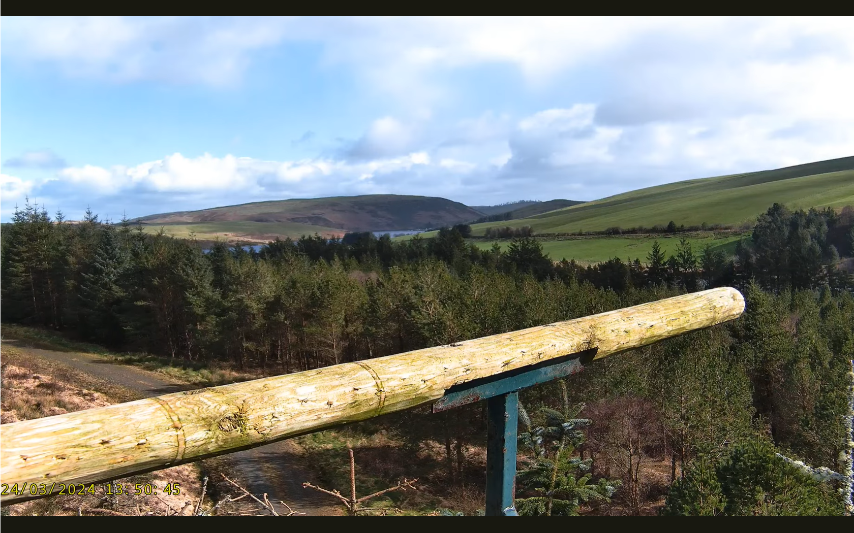 Live-stream camera view of the perch next to the osprey nest